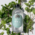 Peppermint Mouthwash